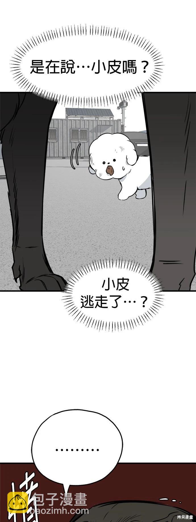 🍸狗狗末日生存法 第29话 第5页