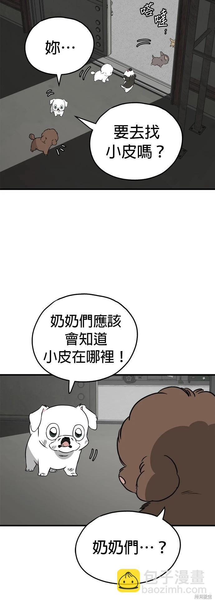 🍸狗狗末日生存法 第31话 第12页
