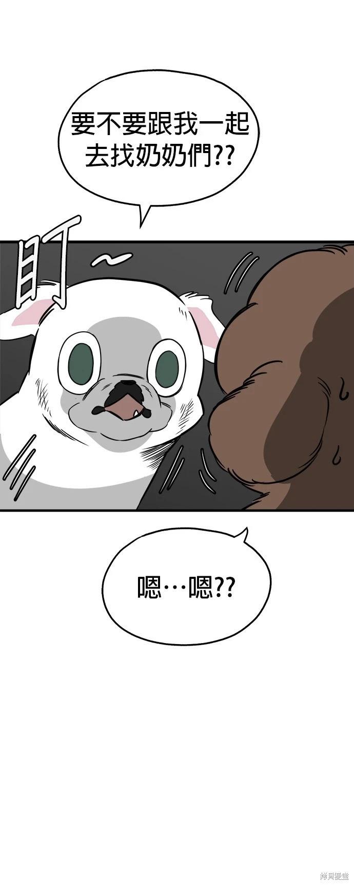 🍸狗狗末日生存法 第31话 第13页