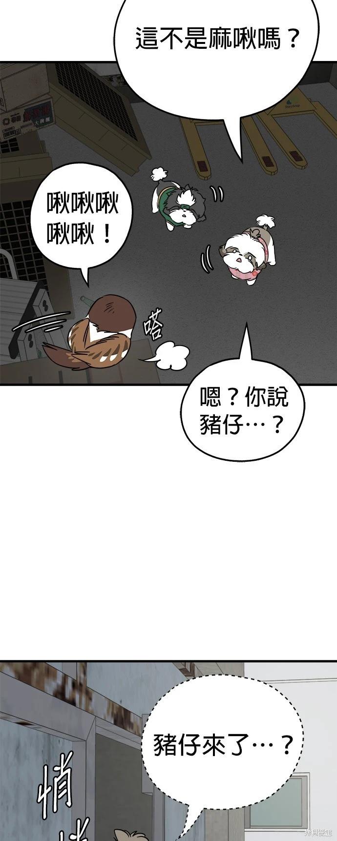 🍸狗狗末日生存法 第31话 第15页