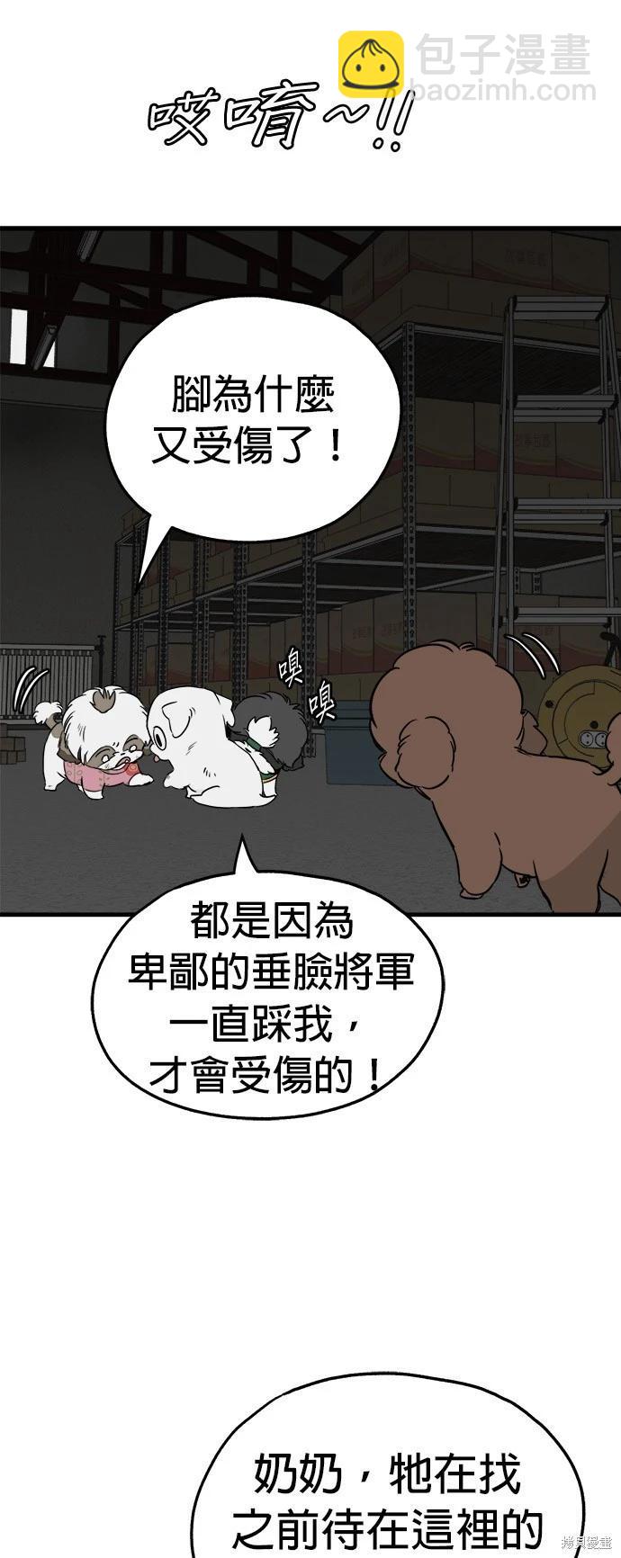 🍸狗狗末日生存法 第31话 第17页