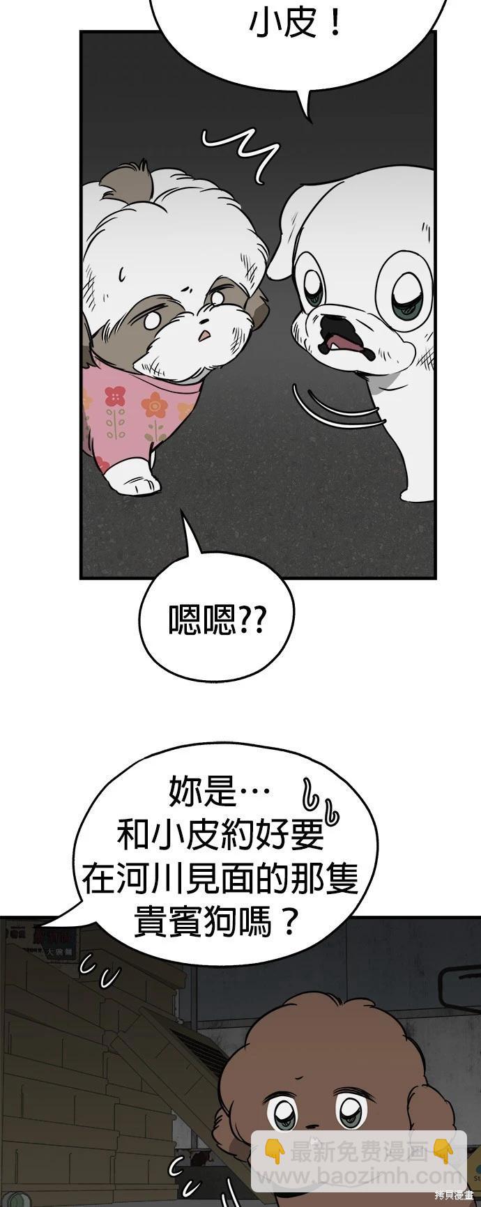 🍸狗狗末日生存法 第31话 第18页
