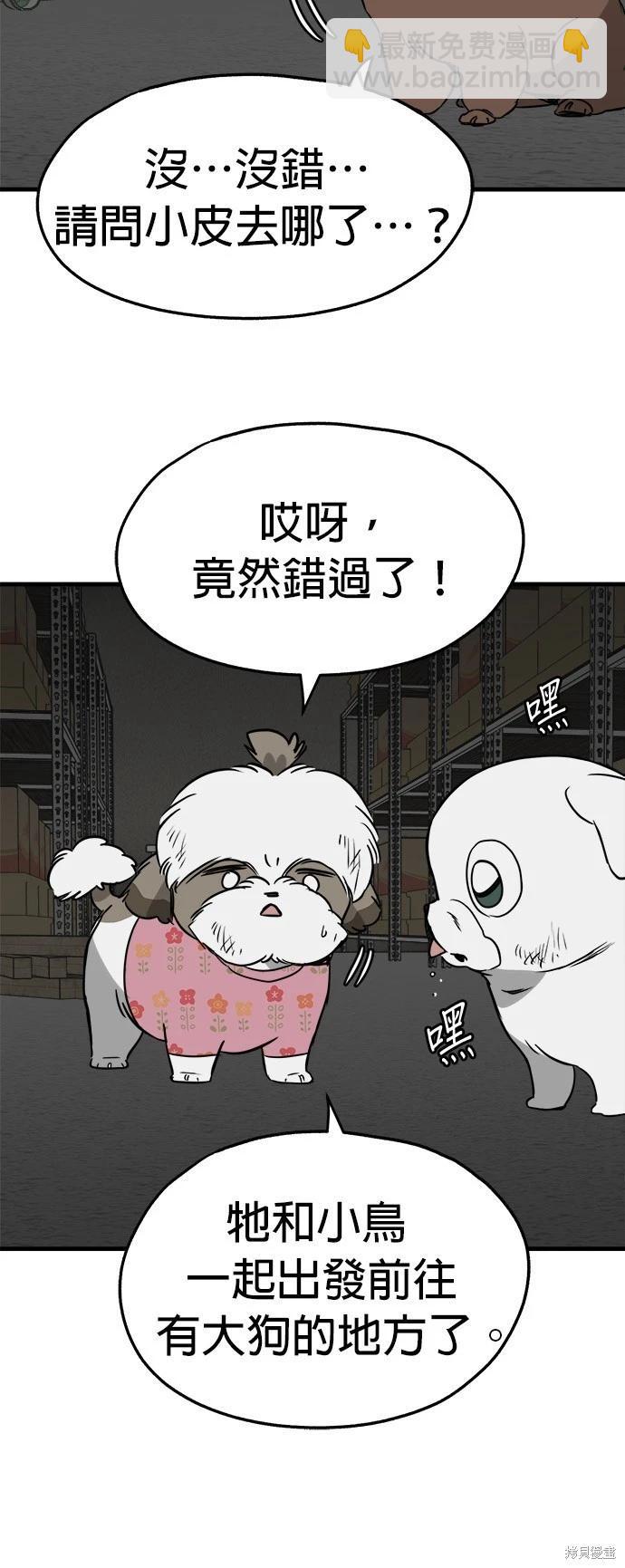 🍸狗狗末日生存法 第31话 第19页