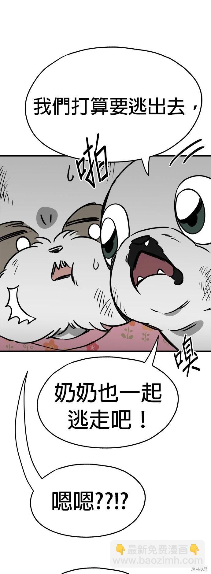 🍸狗狗末日生存法 第31话 第21页