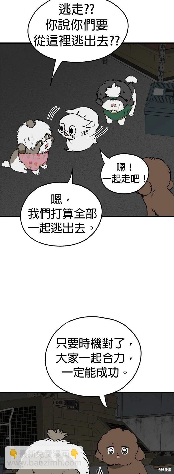 🍸狗狗末日生存法 第31话 第22页