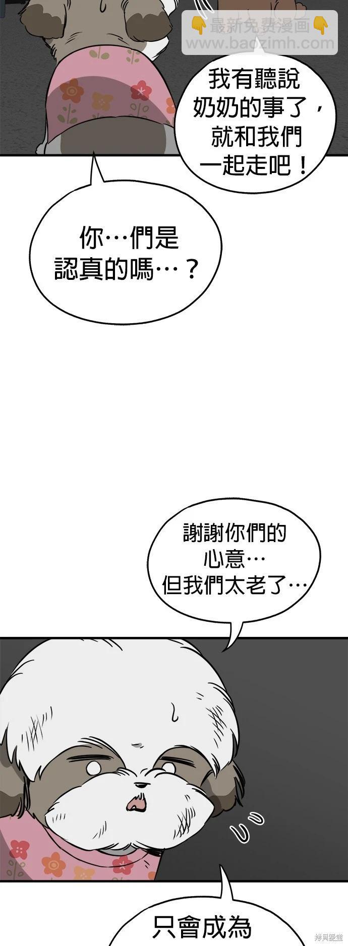 🍸狗狗末日生存法 第31话 第23页