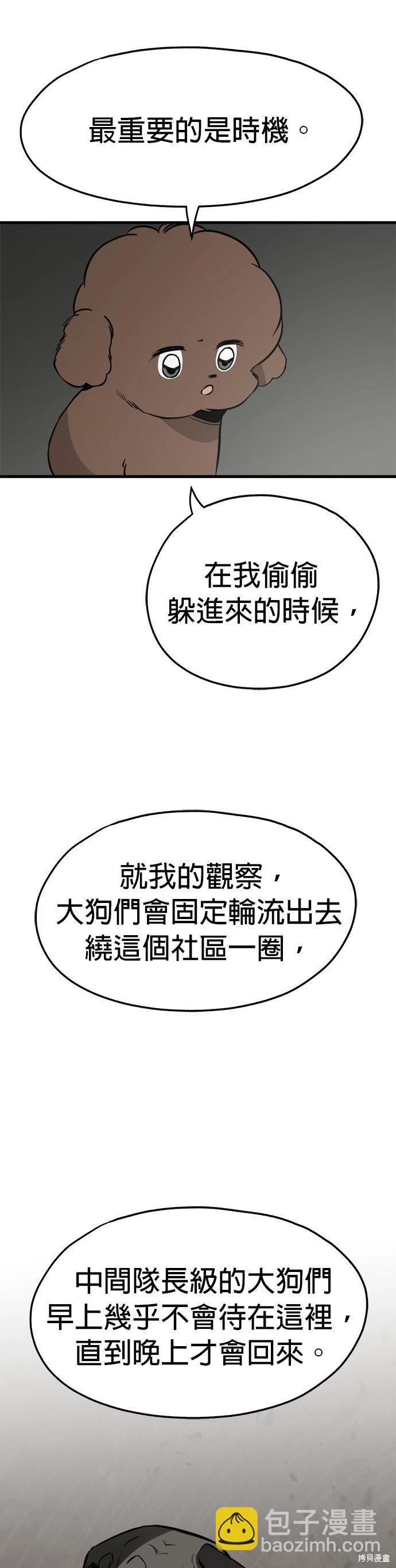 🍸狗狗末日生存法 第31话 第3页