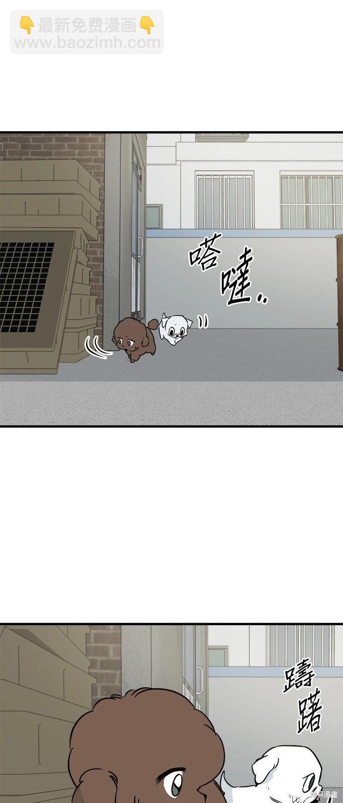 🍸狗狗末日生存法 第31话 第31页