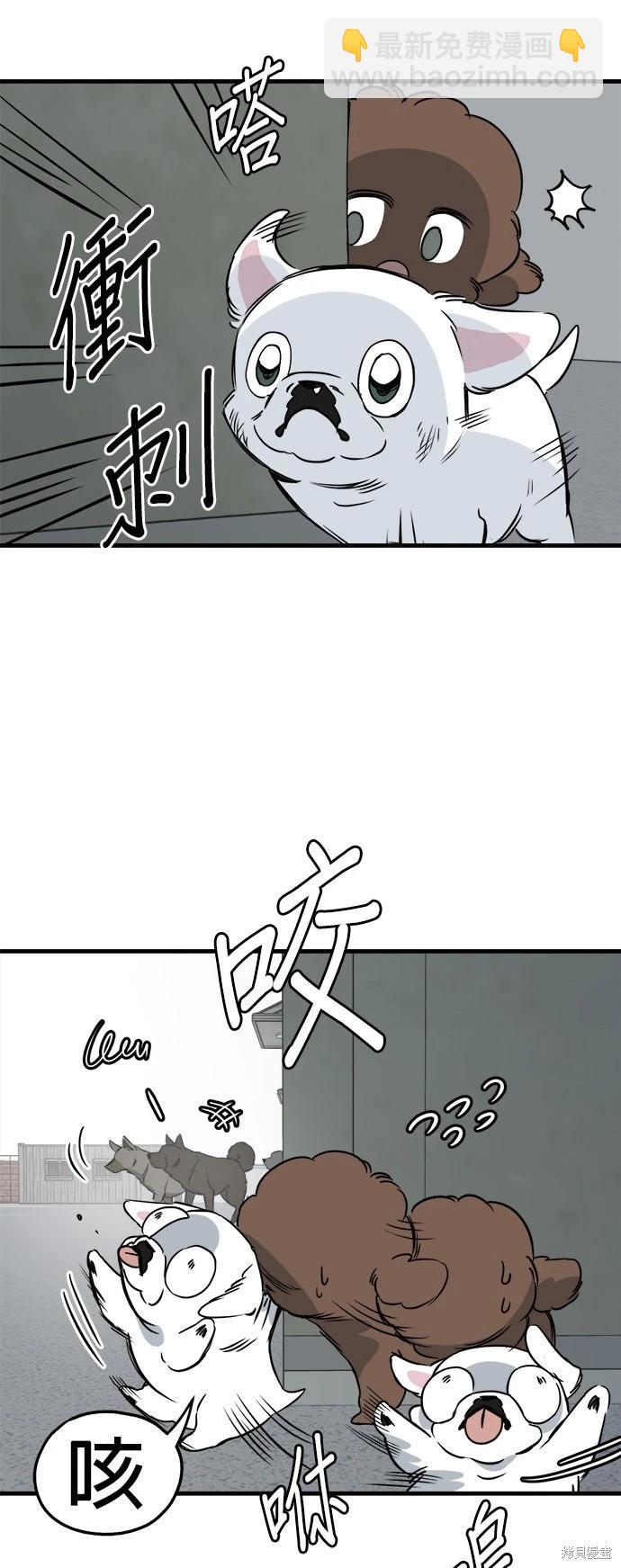 🍸狗狗末日生存法 第31话 第34页