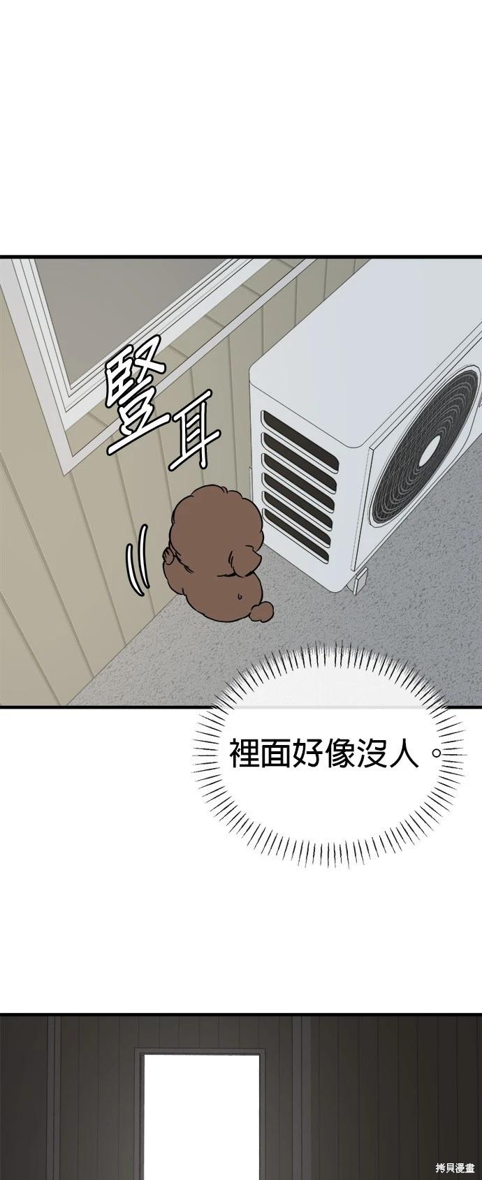 🍸狗狗末日生存法 第31话 第37页