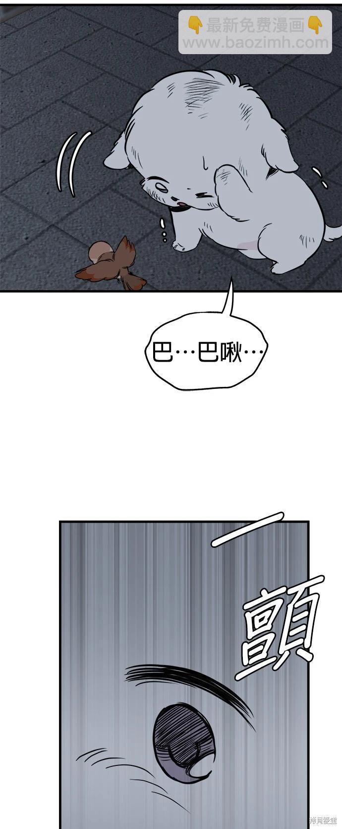 🍸狗狗末日生存法 第31话 第46页