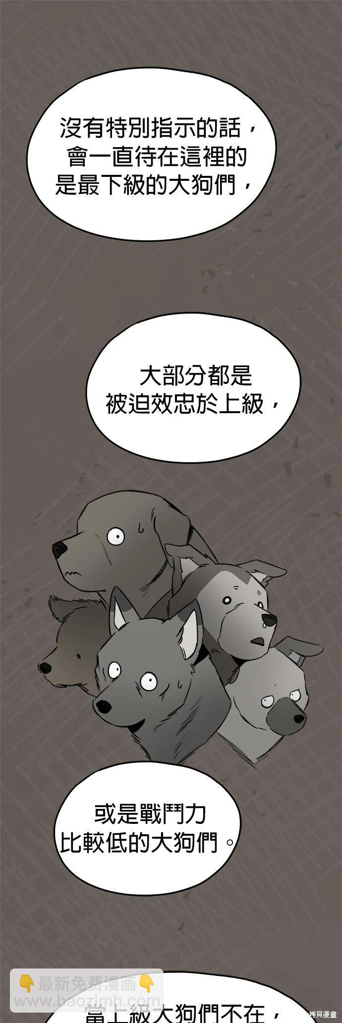 🍸狗狗末日生存法 第31话 第5页