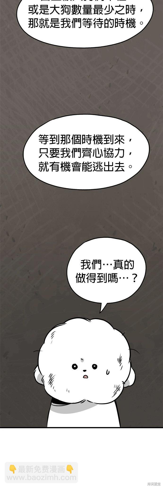 🍸狗狗末日生存法 第31话 第6页