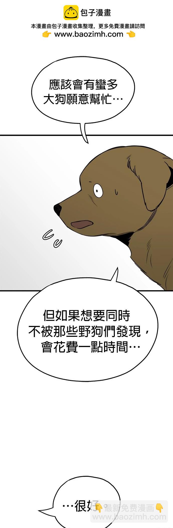 🍸狗狗末日生存法 第31话 第9页