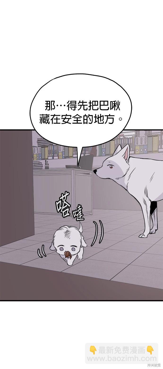 🍸狗狗末日生存法 第33话 第16页