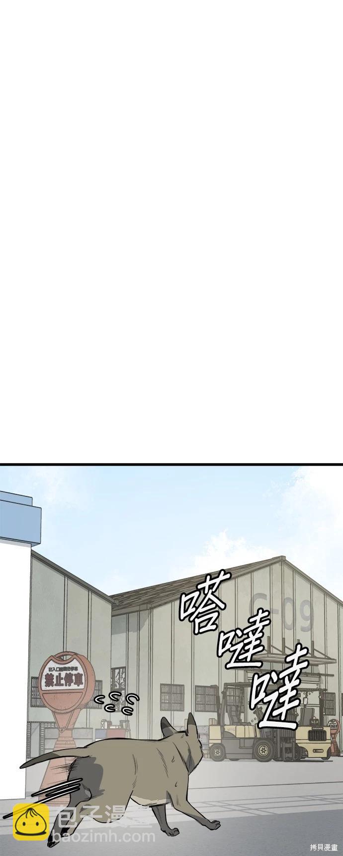 🍸狗狗末日生存法 第33话 第37页