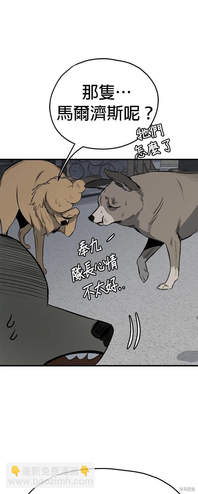 🍸狗狗末日生存法 第33话 第39页