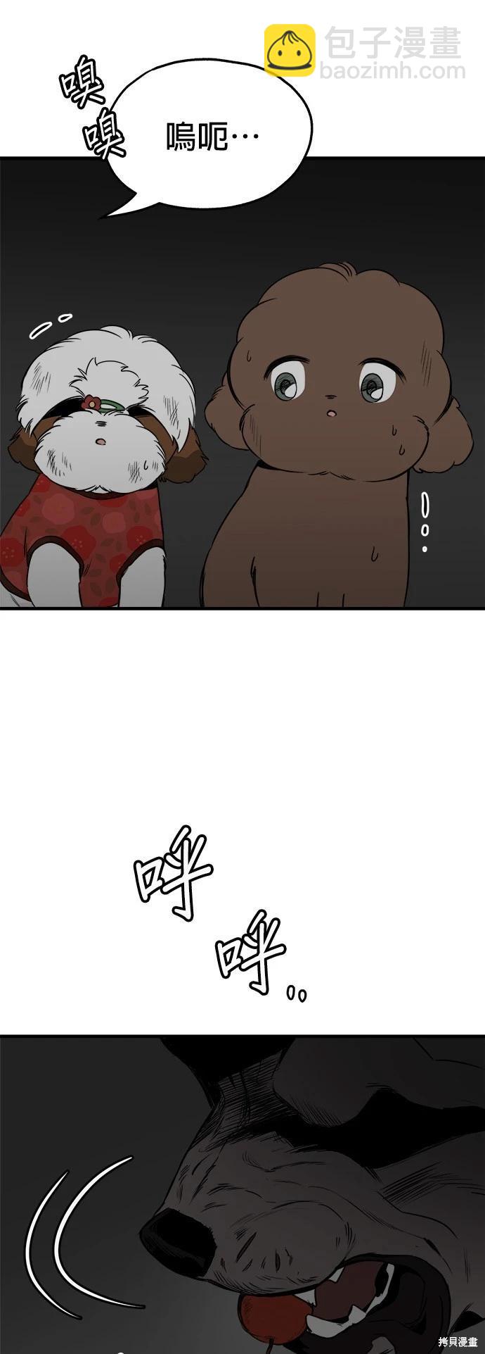 🍸狗狗末日生存法 第35话 第13页