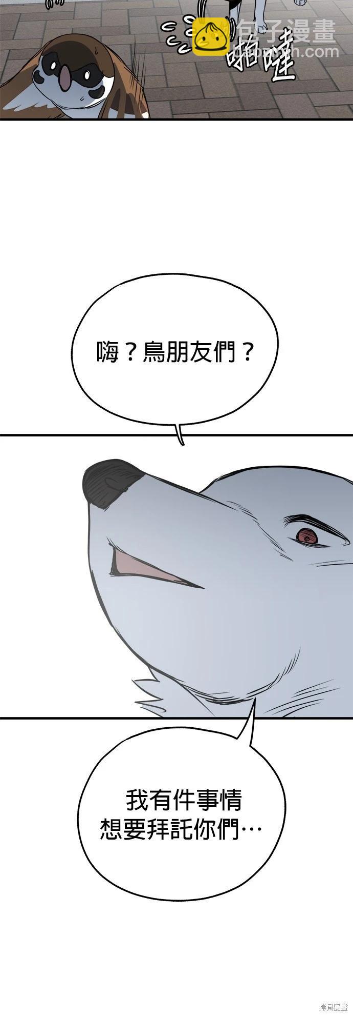 🍸狗狗末日生存法 第35话 第40页