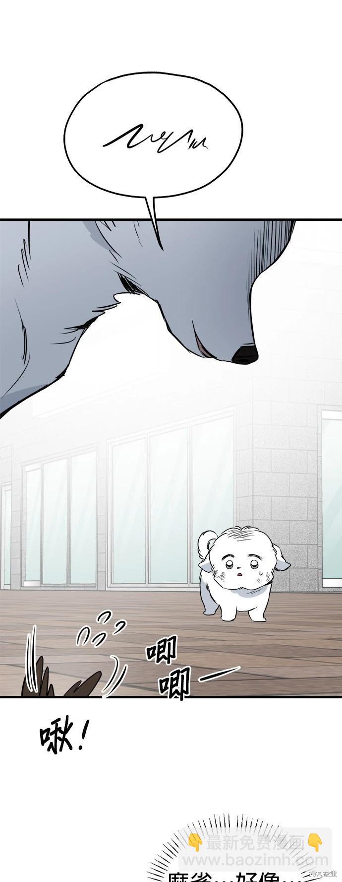 🍸狗狗末日生存法 第35话 第41页