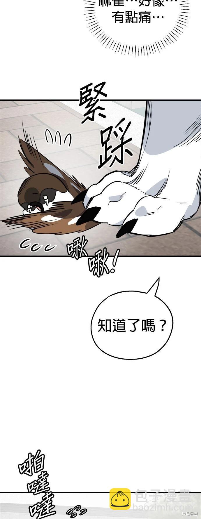 🍸狗狗末日生存法 第35话 第42页