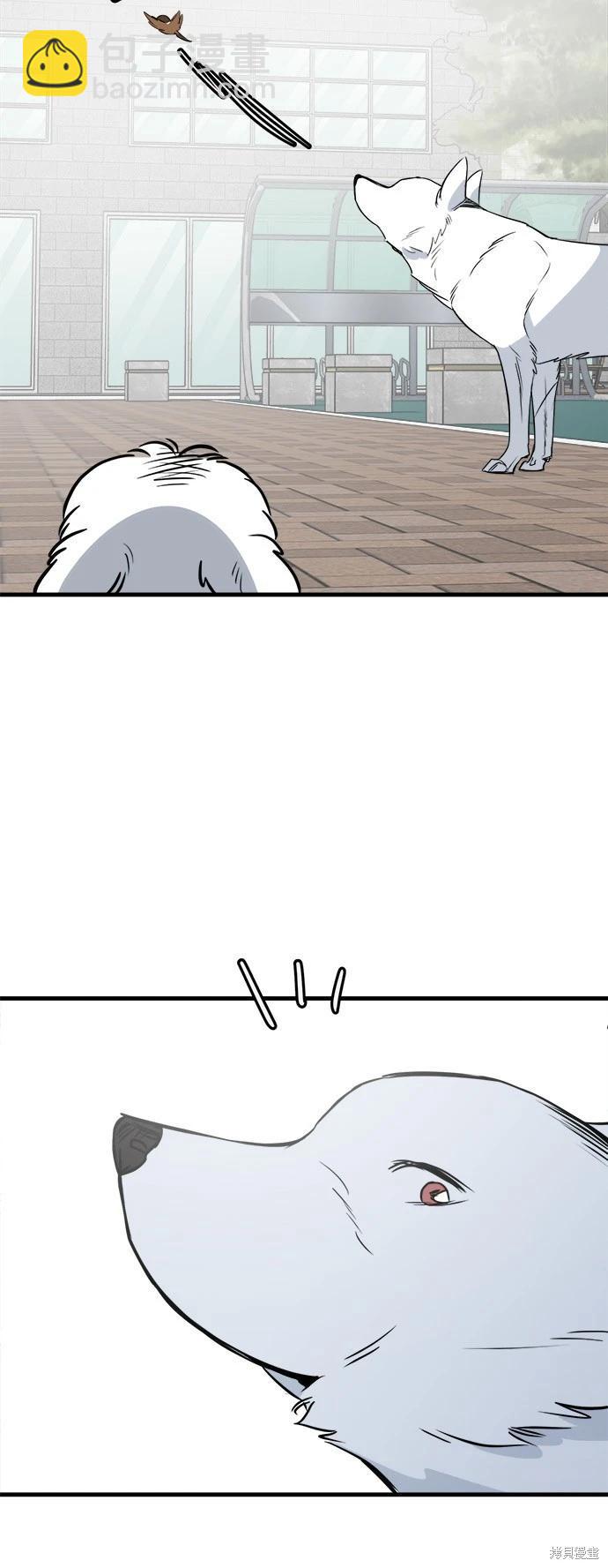 🍸狗狗末日生存法 第35话 第43页