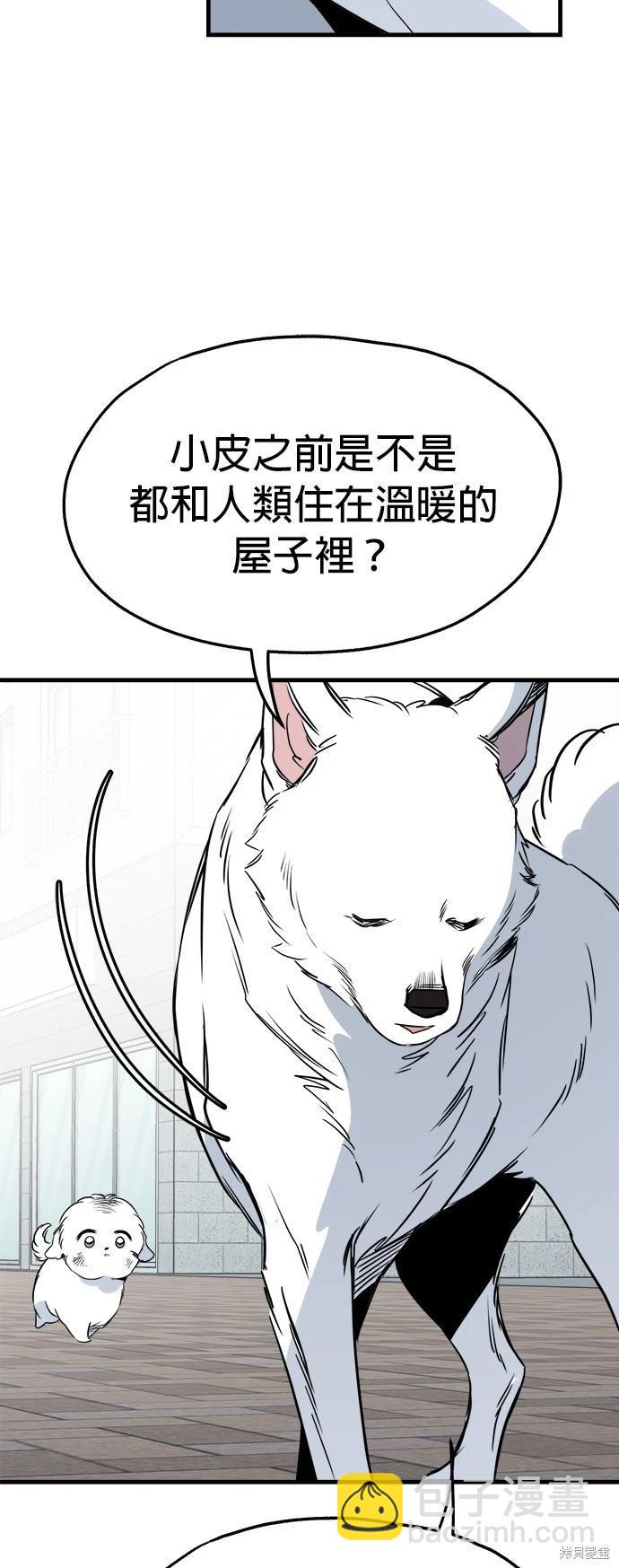 🍸狗狗末日生存法 第35话 第46页