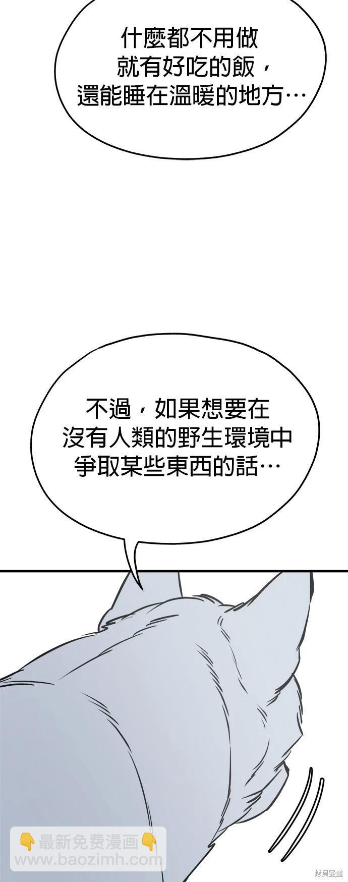 🍸狗狗末日生存法 第35话 第47页