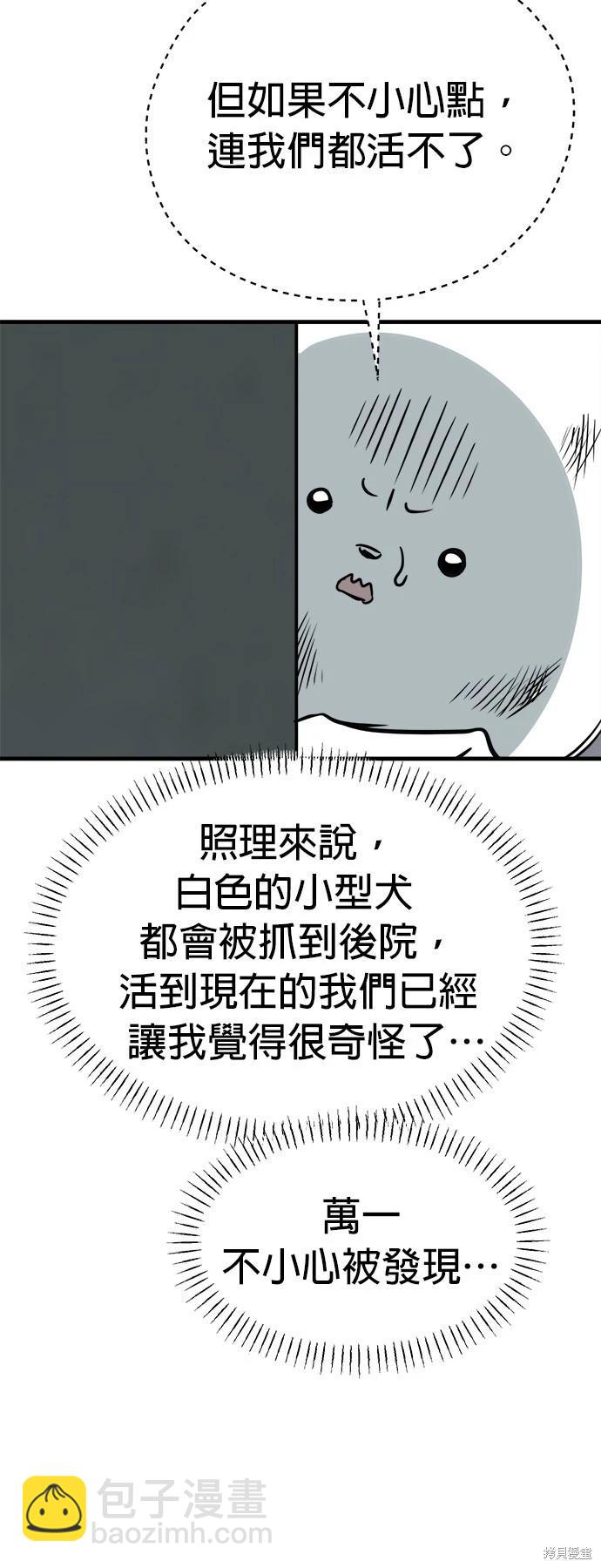🍸狗狗末日生存法 第37话 第15页