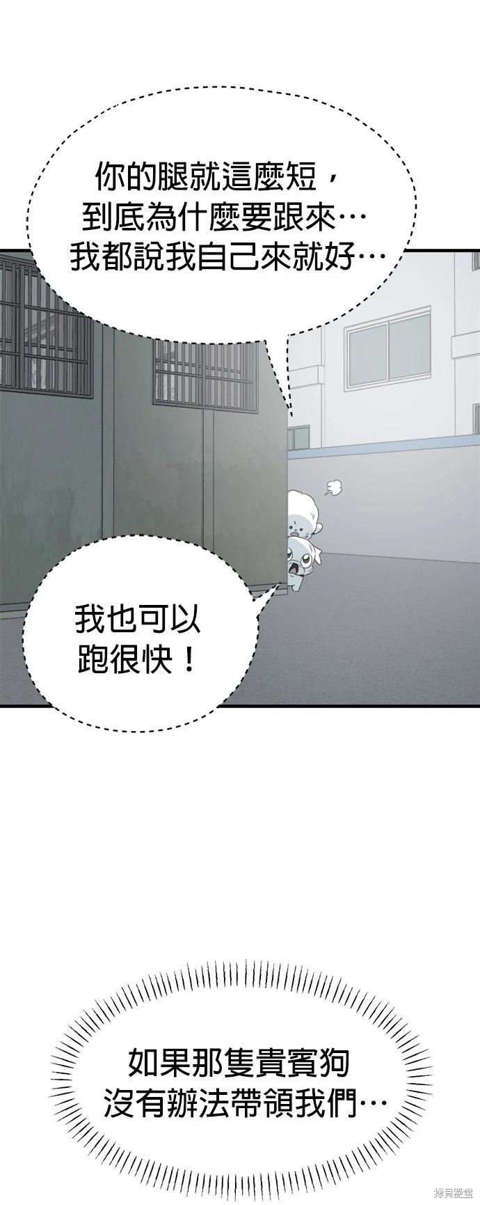 🍸狗狗末日生存法 第37话 第17页
