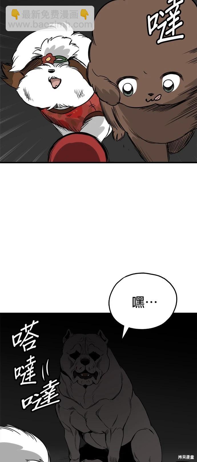 🍸狗狗末日生存法 第37话 第27页