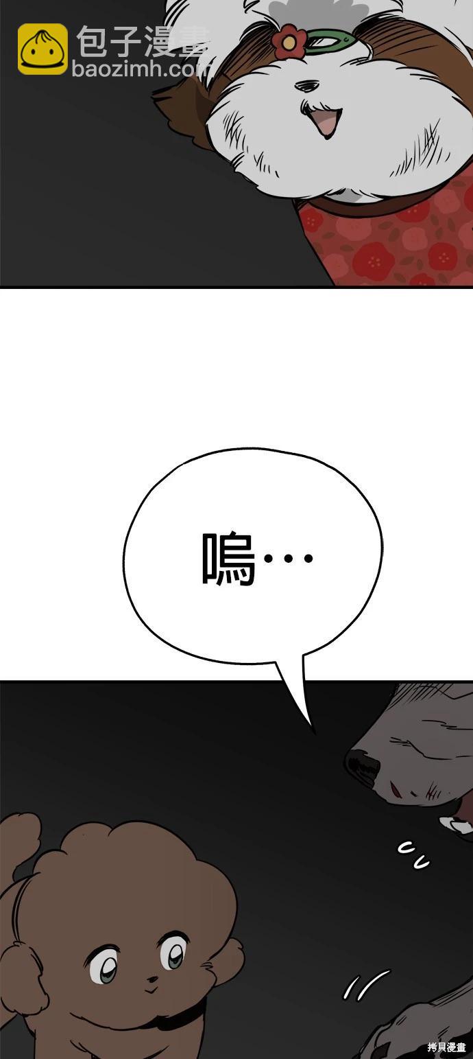 🍸狗狗末日生存法 第37话 第35页