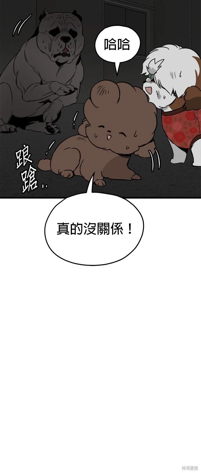 🍸狗狗末日生存法 第37话 第48页