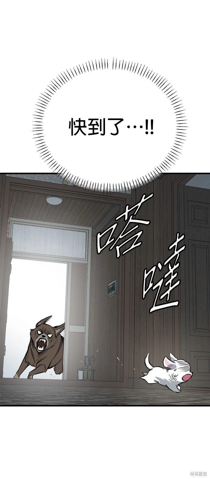 🍸狗狗末日生存法 第39话 第12页