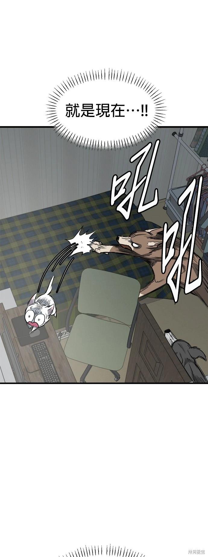🍸狗狗末日生存法 第39话 第13页