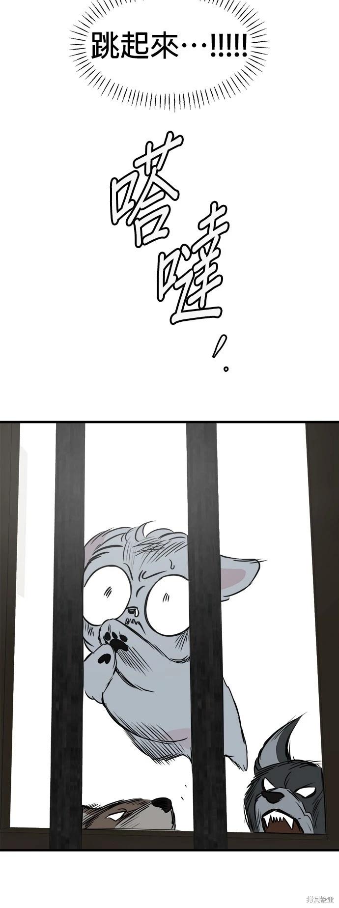 🍸狗狗末日生存法 第39话 第14页