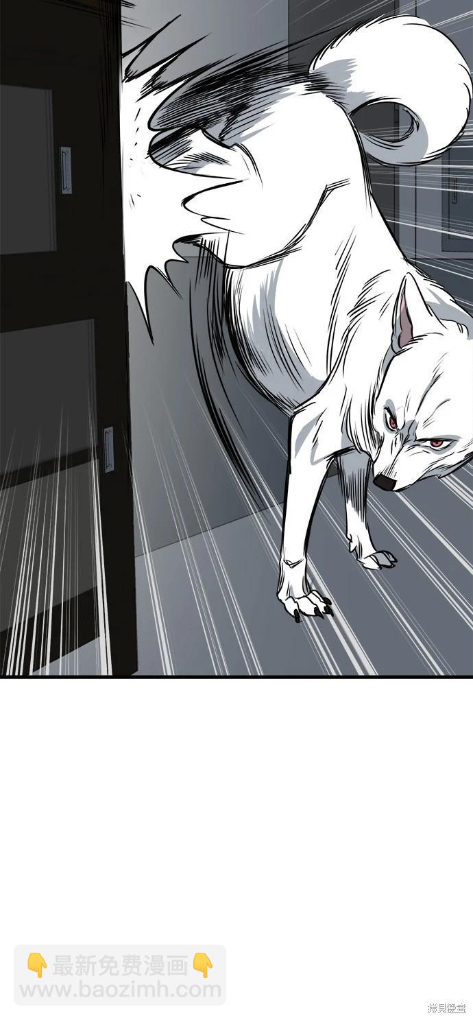 🍸狗狗末日生存法 第39话 第20页