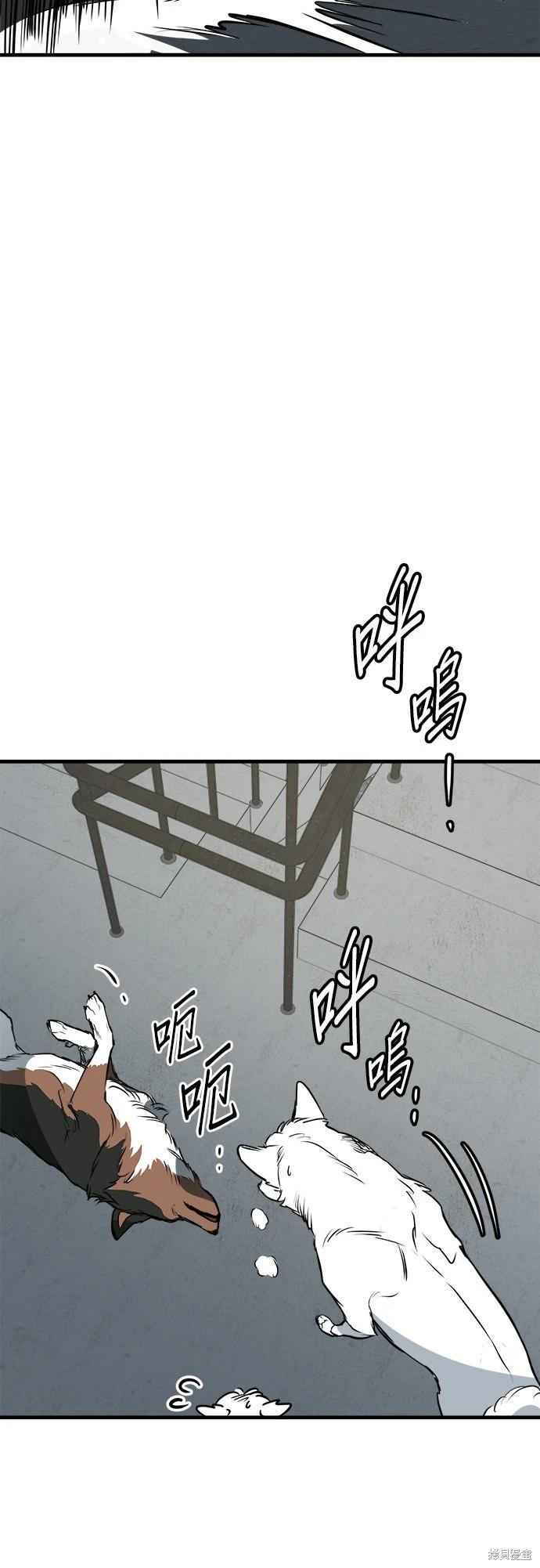 🍸狗狗末日生存法 第39话 第31页
