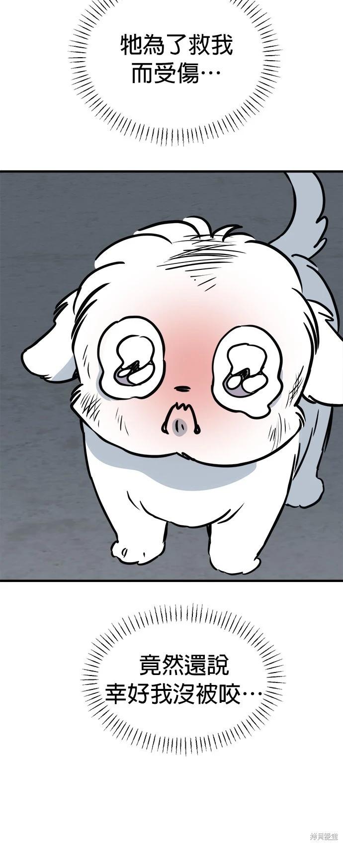 🍸狗狗末日生存法 第39话 第36页
