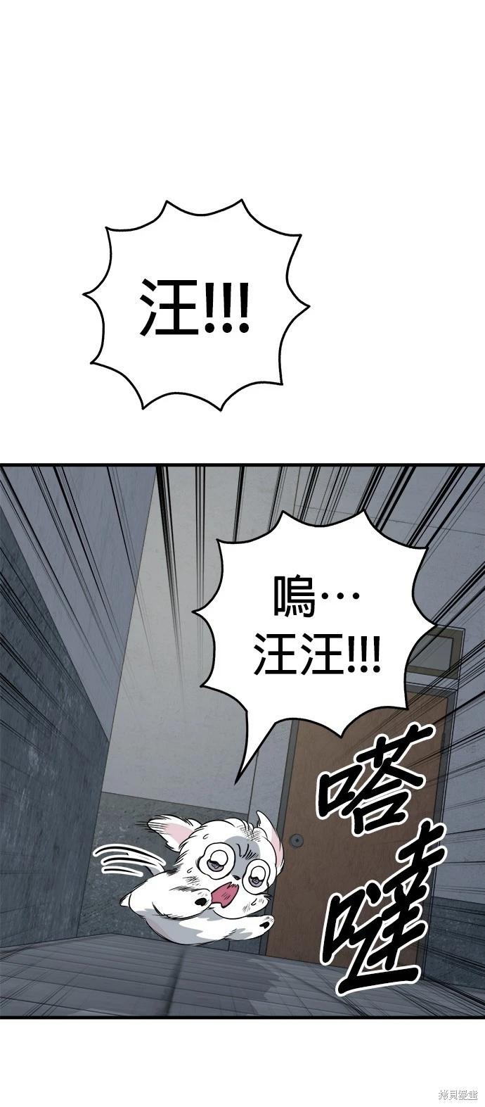 🍸狗狗末日生存法 第39话 第5页