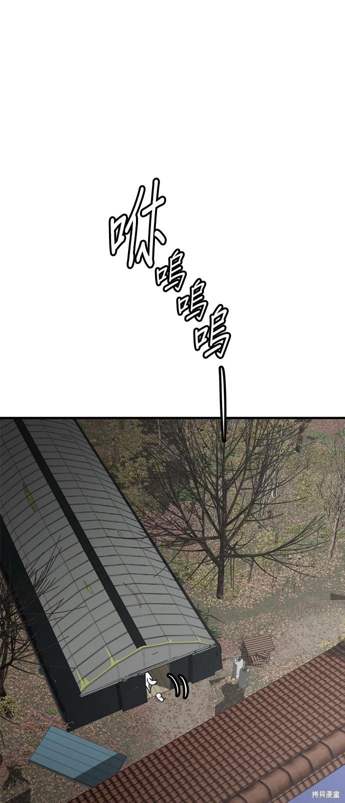 🍸狗狗末日生存法 第41话 第1页