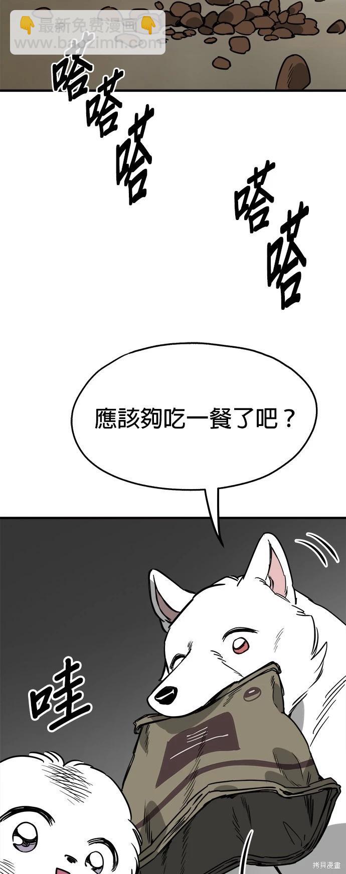 🍸狗狗末日生存法 第41话 第11页