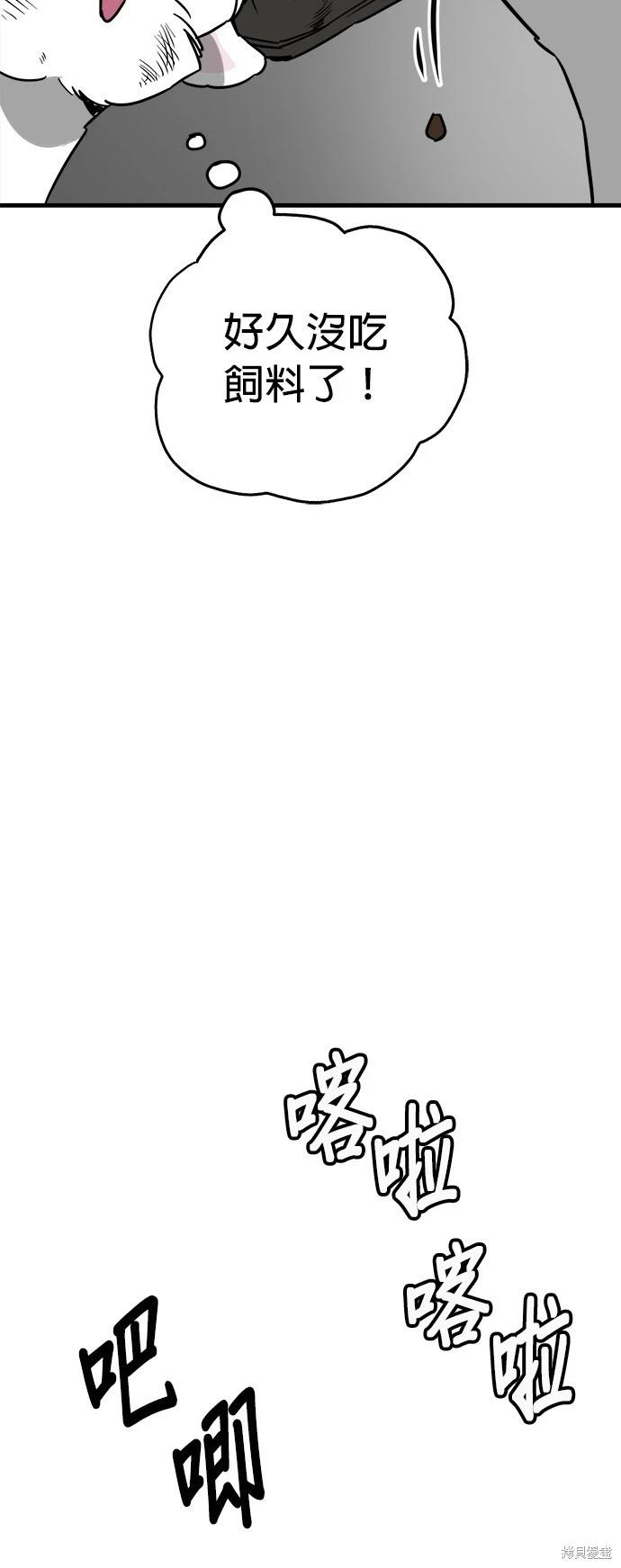 🍸狗狗末日生存法 第41话 第12页