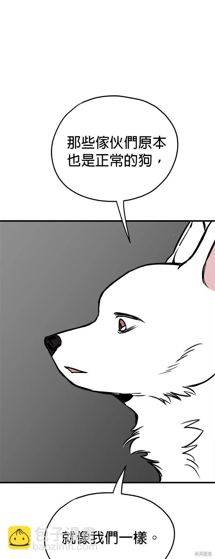 🍸狗狗末日生存法 第41话 第17页