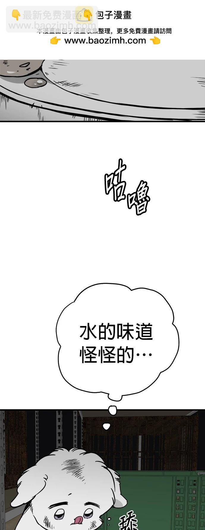 🍸狗狗末日生存法 第41话 第3页
