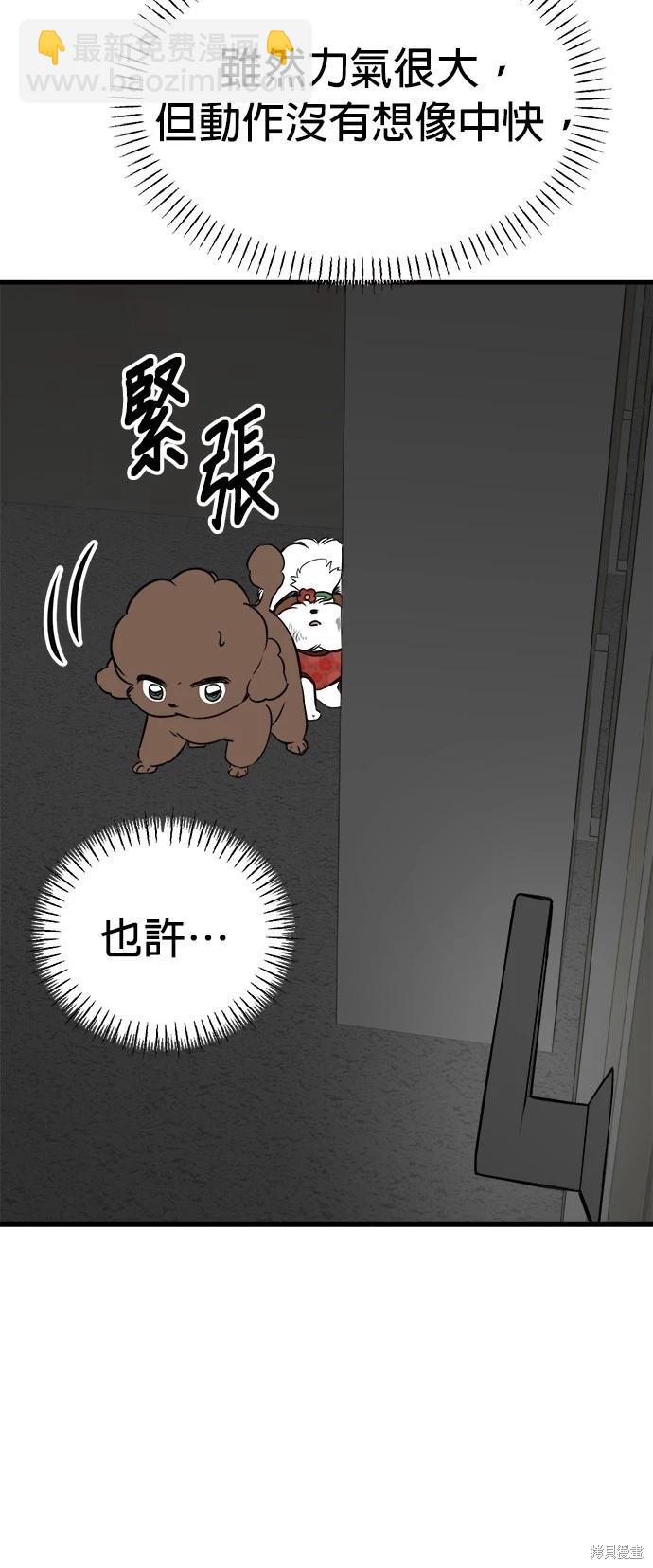 🍸狗狗末日生存法 第41话 第36页