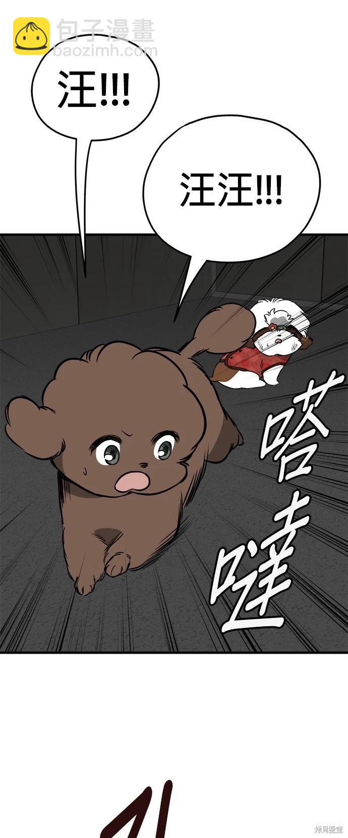 🍸狗狗末日生存法 第41话 第37页