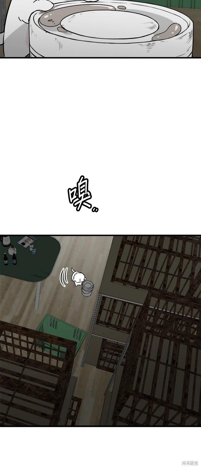 🍸狗狗末日生存法 第41话 第4页