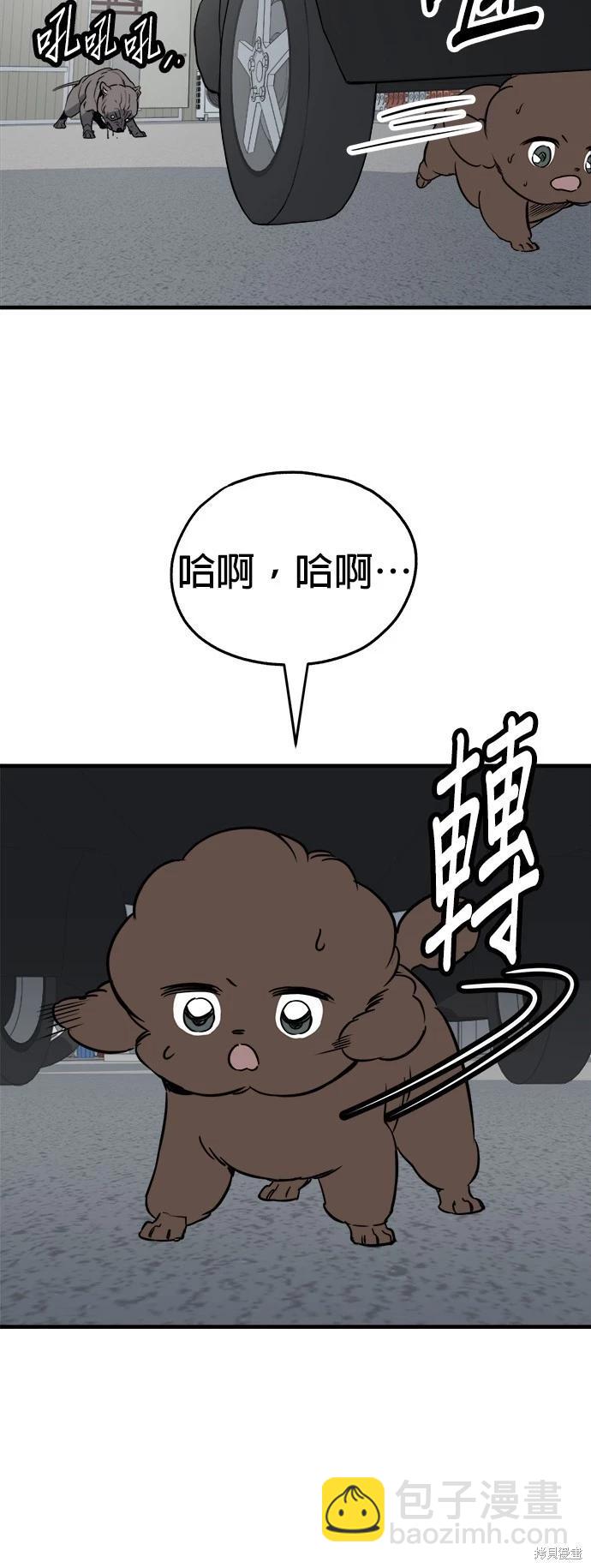 🍸狗狗末日生存法 第41话 第48页