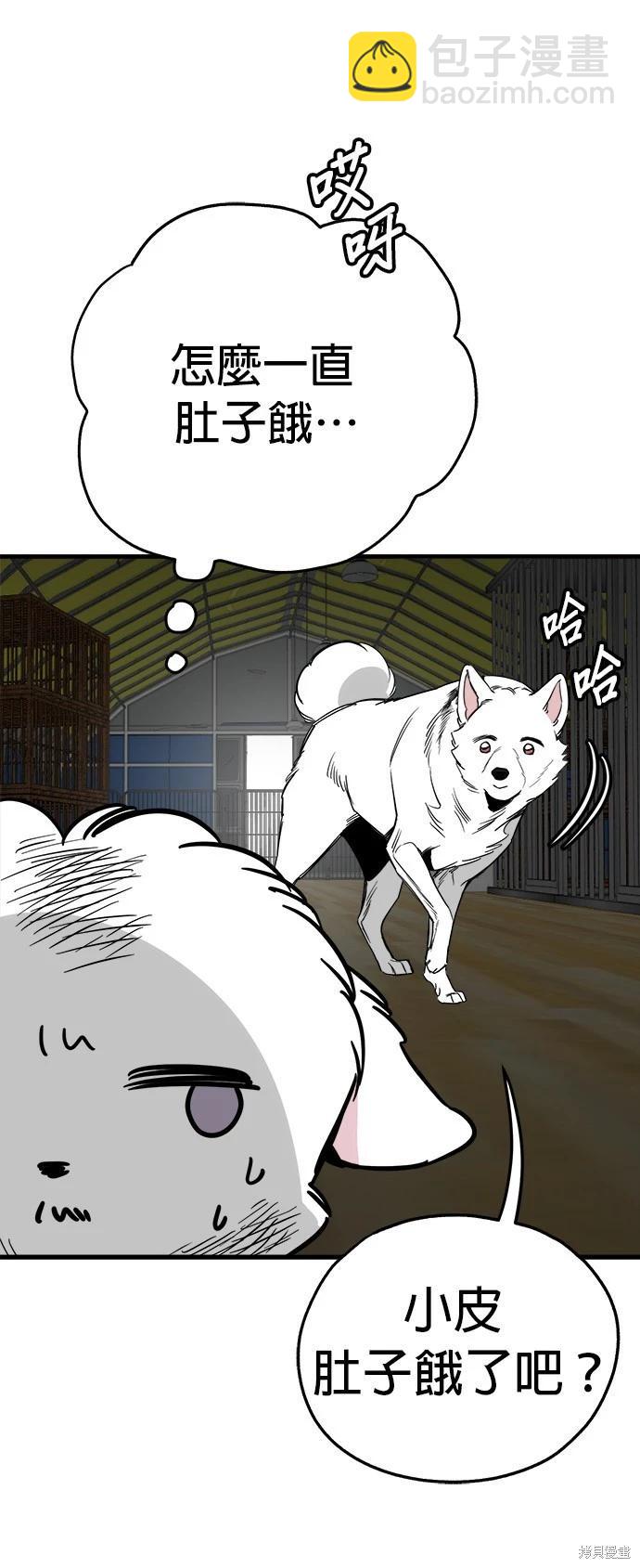🍸狗狗末日生存法 第41话 第8页